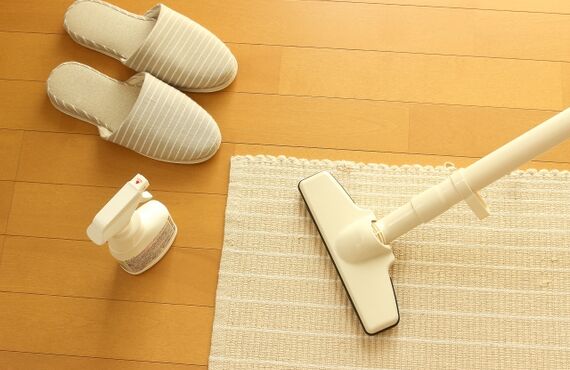 福岡にある暮らし工藝舎ではお洒落なそうじ道具も販売しております